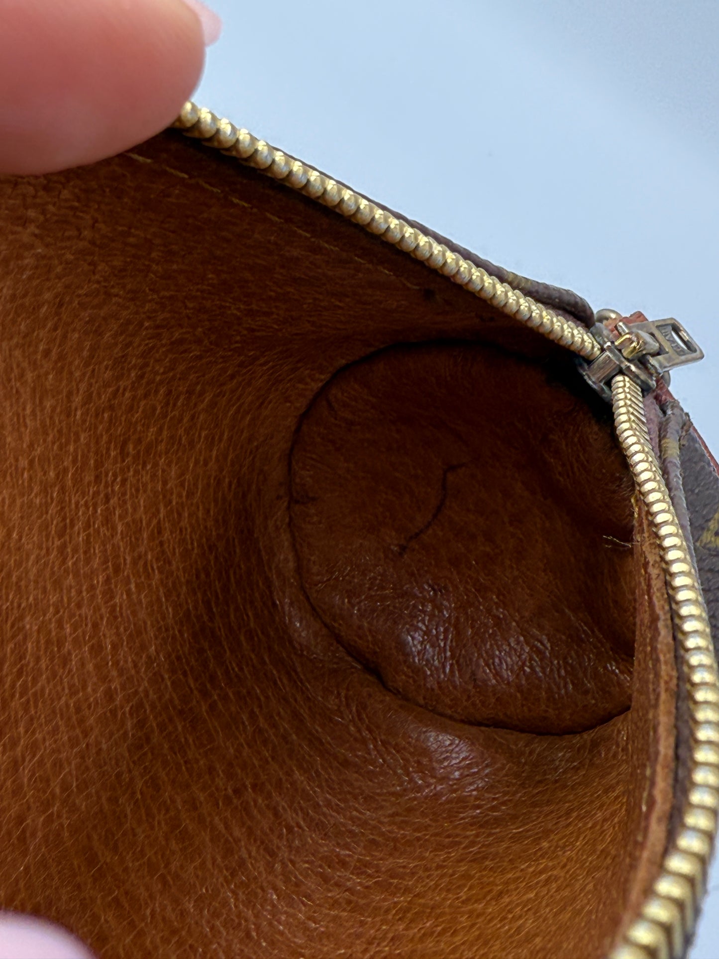 Louis Vuitton Monogram Coated Canvas Mini Papillon