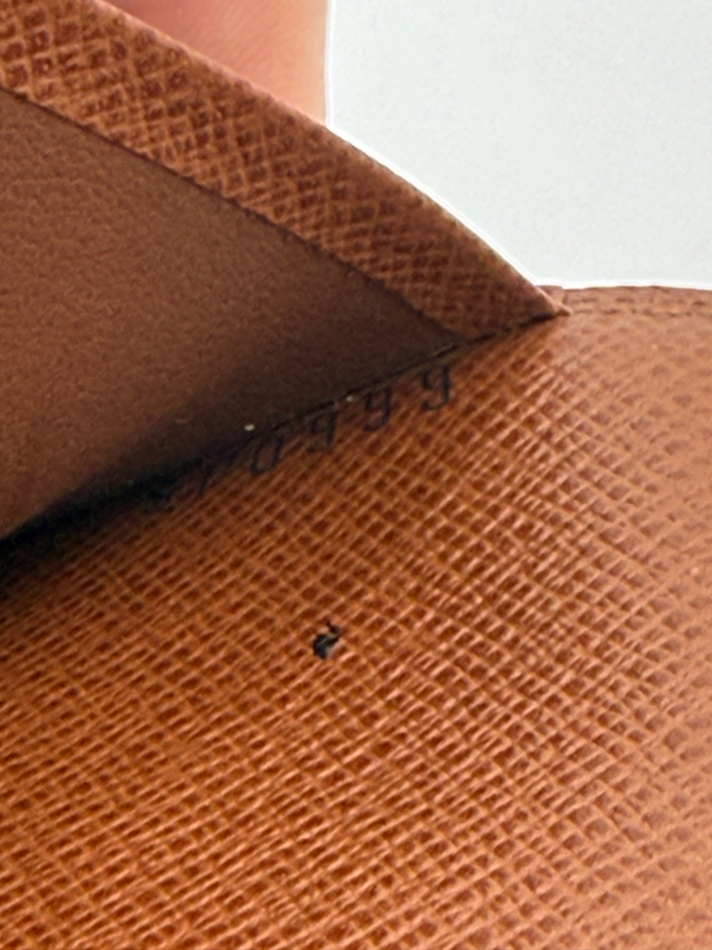 Louis Vuitton Monogram Coated Canvas Agenda MM SP0999