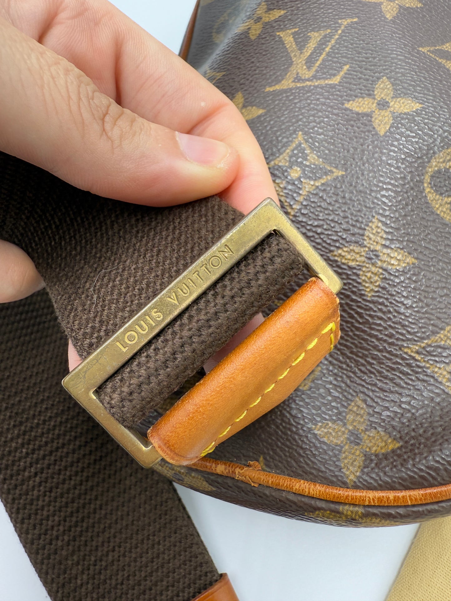 Louis Vuitton Monogram Pochette Gange Belt Bag CA1013