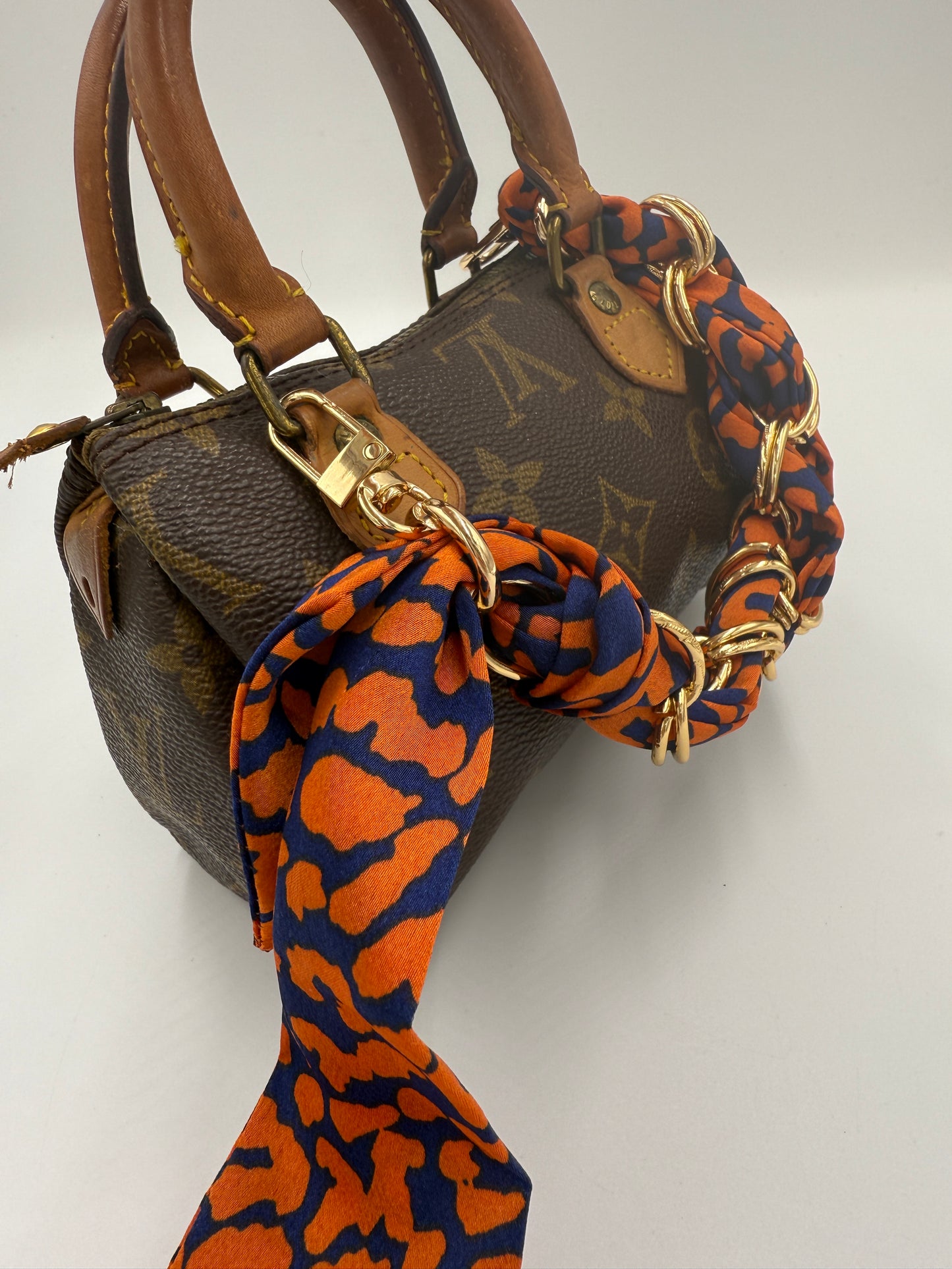 Louis Vuitton Coated Canvas Monogram Speedy Nano