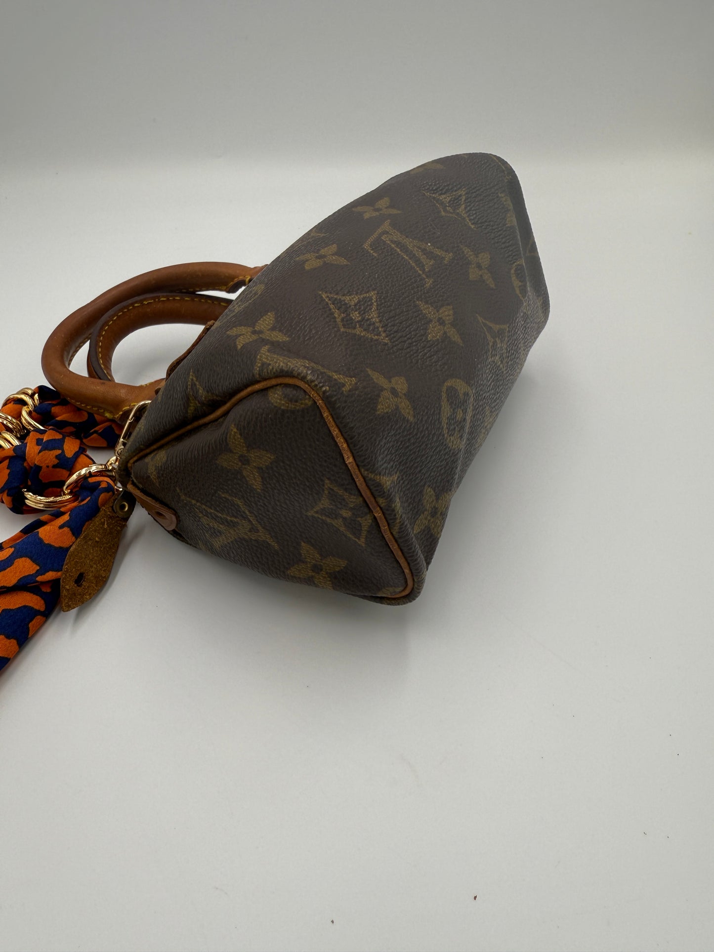 Louis Vuitton Coated Canvas Monogram Speedy Nano