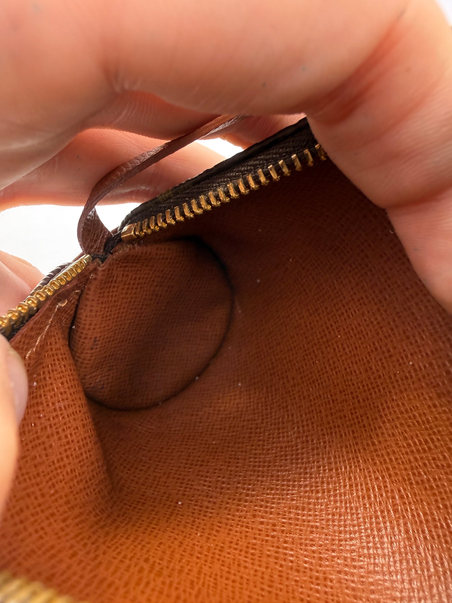 Louis Vuitton Monogram Coated Canvas Mini Papillon