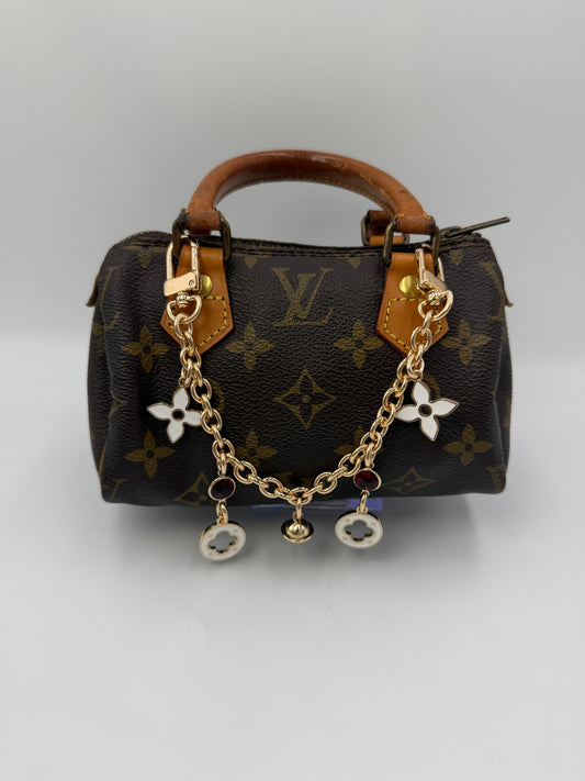 Louis Vuitton Coated Canvas Monogram Speedy Nano Ruby Charm