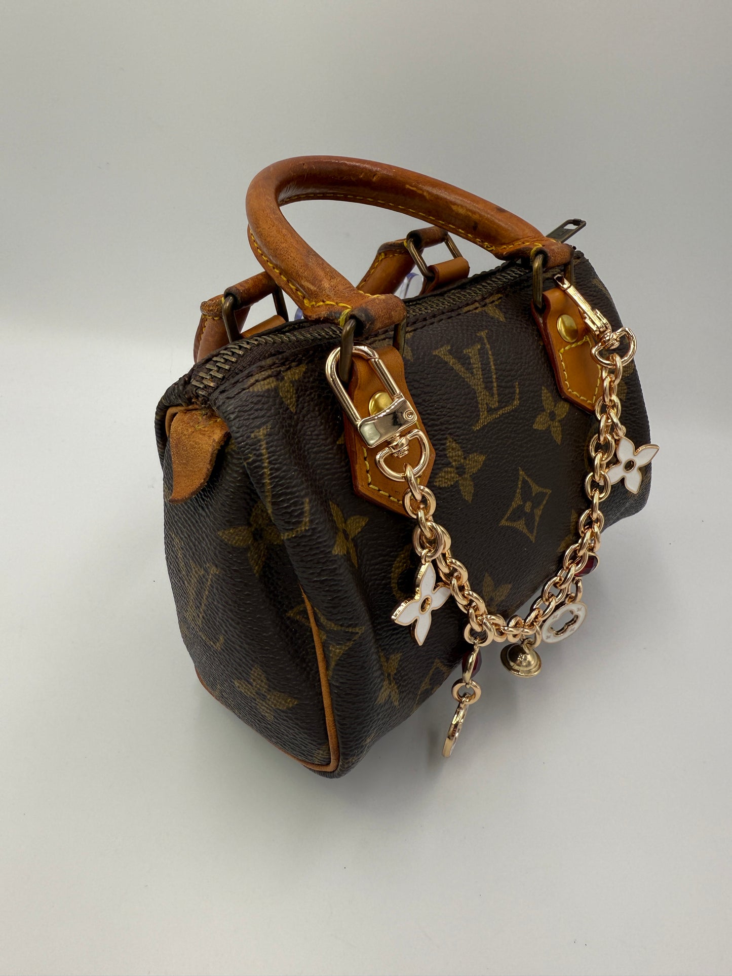 Louis Vuitton Coated Canvas Monogram Speedy Nano Ruby Charm