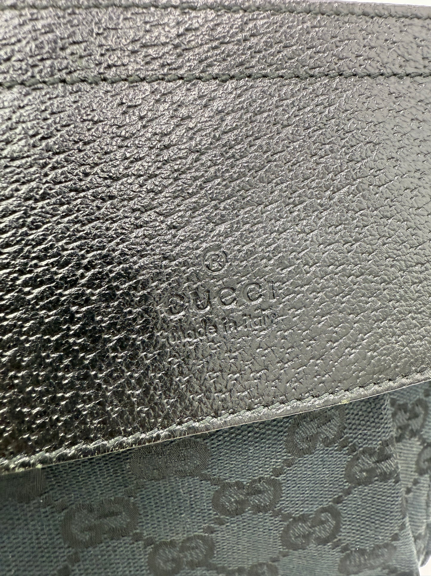 Gucci Black Guccissima Canvas Double Belt Bag